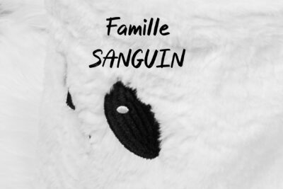 cover-3