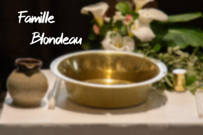 cover_blondeau